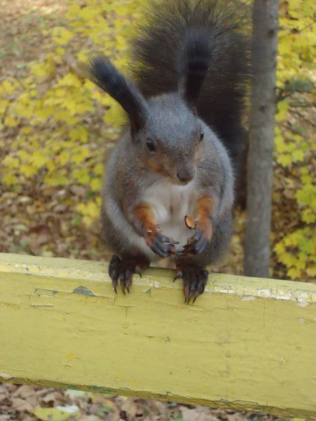 Анна Крючко