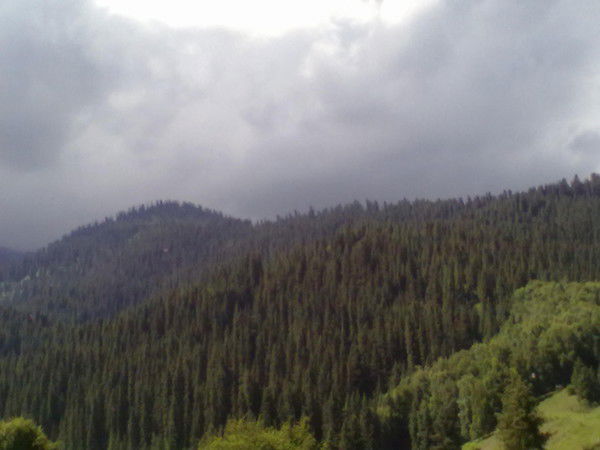 Жанар Алгожаева