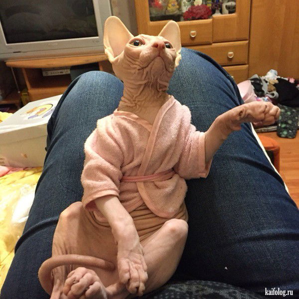 Соня Ярушина