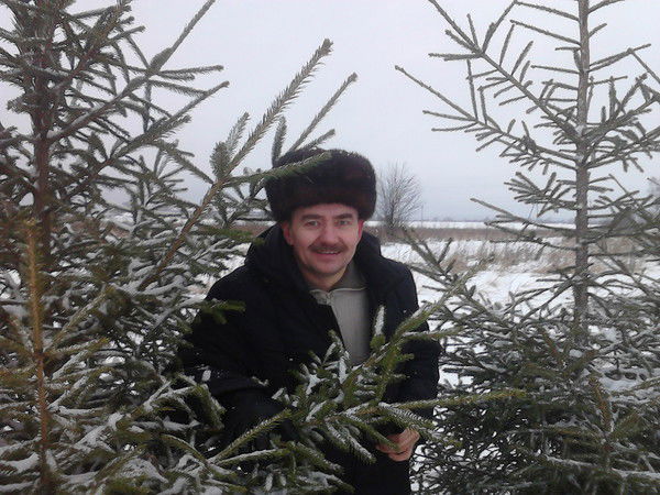 Вячеслав Соколов