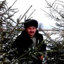 Вячеслав Соколов