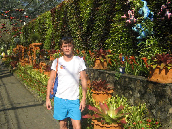 Дмитрий Новицкий