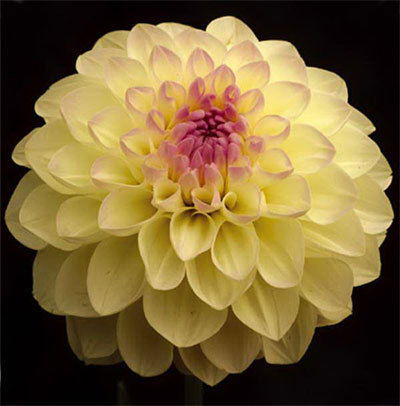 Наталия Грицай