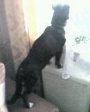 Илья Сороколетов