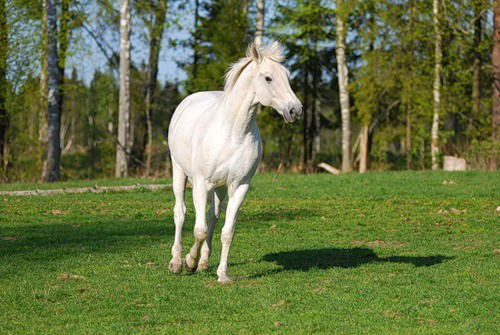 Вадим Филоненко