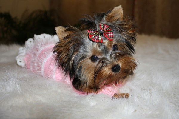 Натали Натали