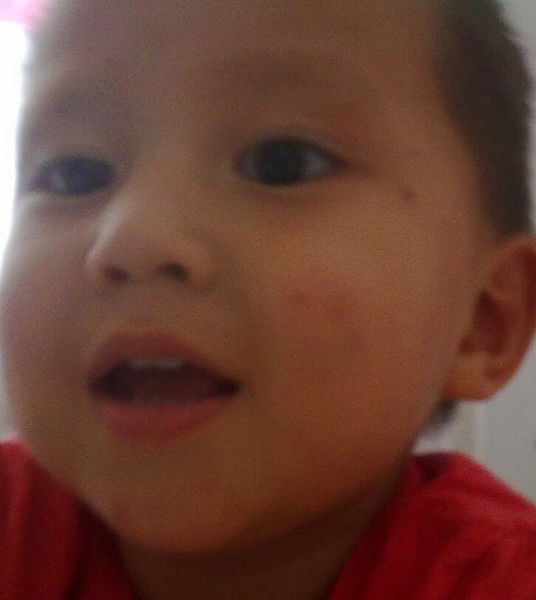 Алия Махмудова