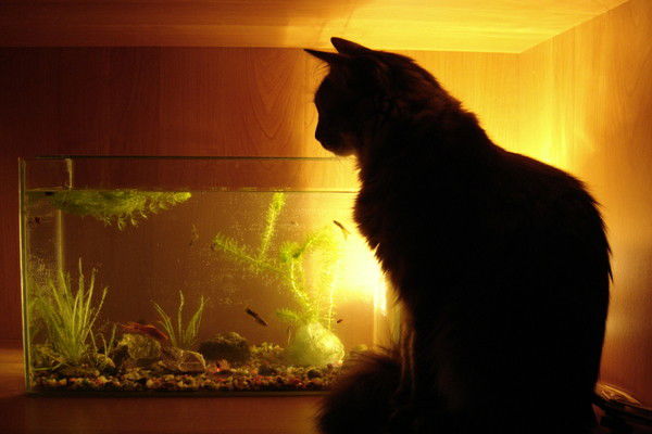 Юрий Белоусов