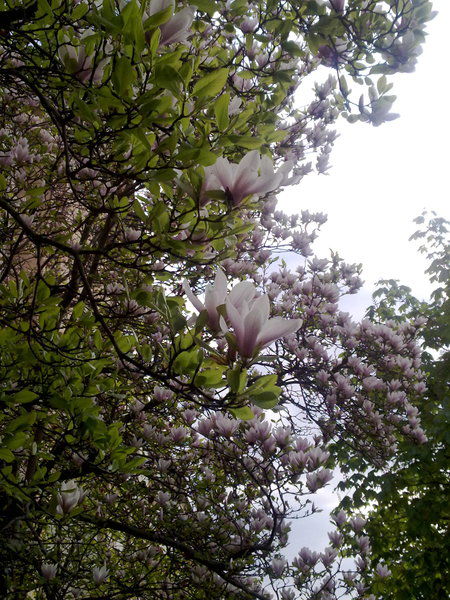 Александр Бисеров