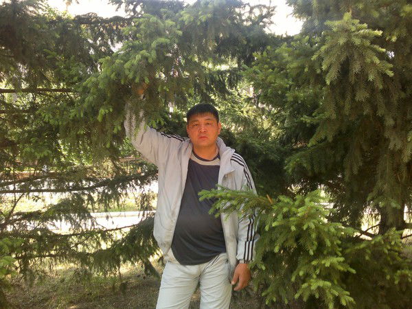 Арман Тлеулин