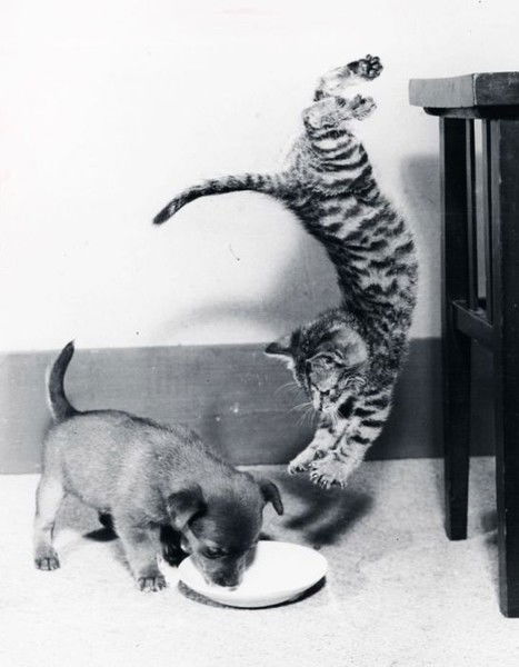 Кристинка=) =)