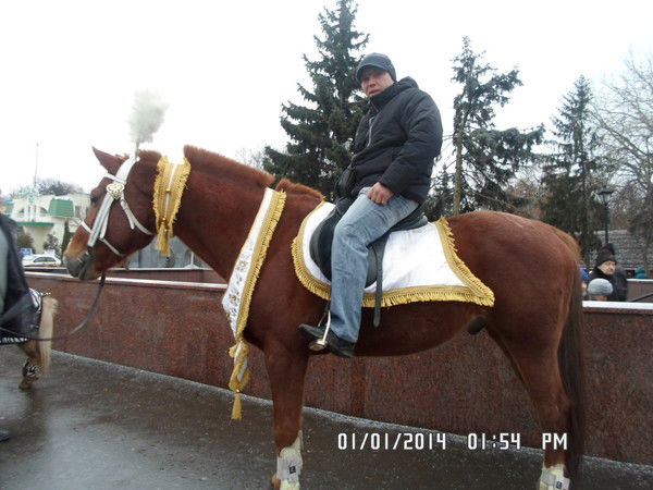 Сергей Перевизный
