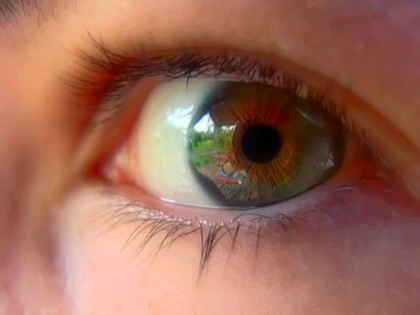 Пашка Пашкин