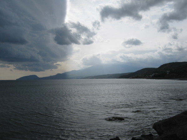 Дарья Исаева