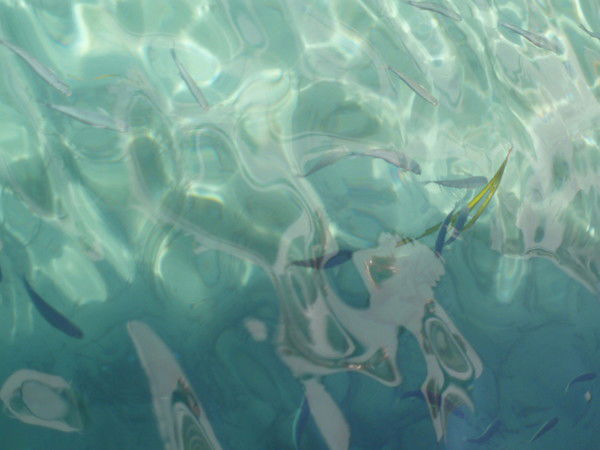 Горный Поток Туда-Сюда