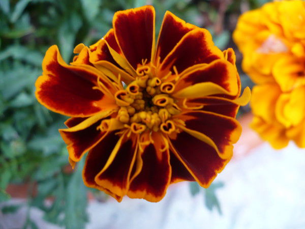 Майра Жумагазиева