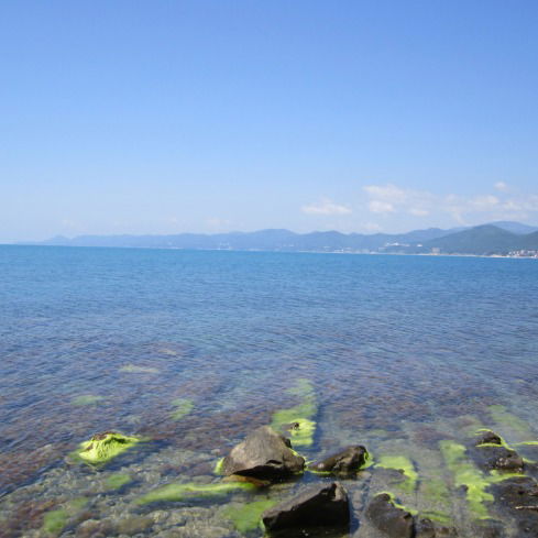 Наталья Найдёнова