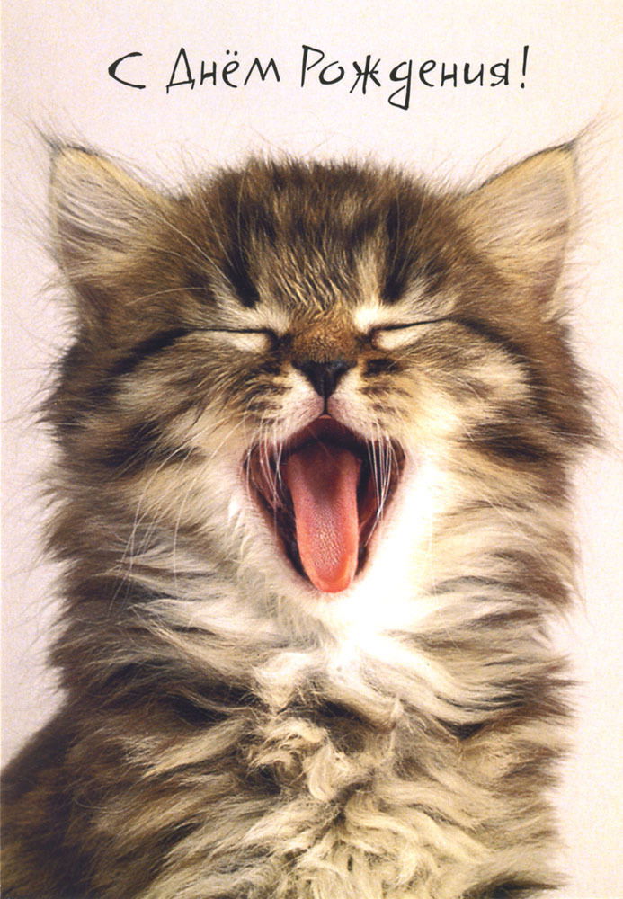 Инесса Григорьева