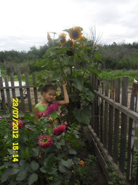 Дарья Симанова