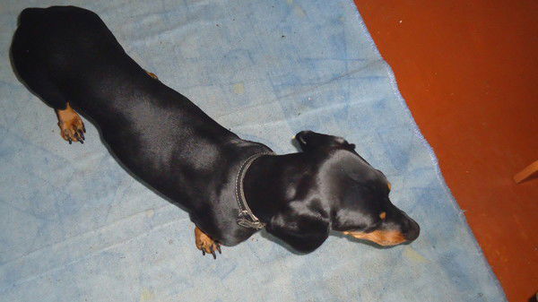 Андрей Адамбаев