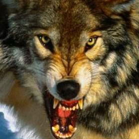 Александр Мельник