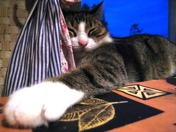 Люсис Кошкас