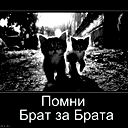 Бауыржан Абеузаров