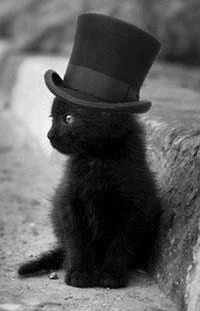 Дарья Алексеева