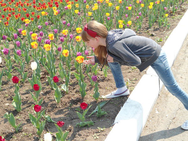 Елизавета Илларионова