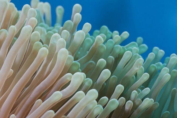 Ильгиз Абдуллаев