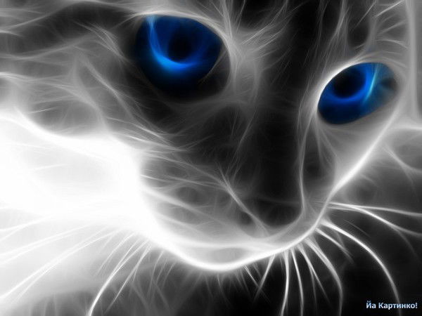 Кира Бакаева