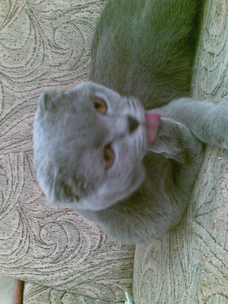 Дмитрий Муратиди