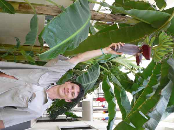 Андрей Новоселов