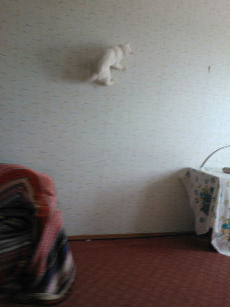 Игорь Олейник