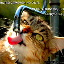 Дим Joy