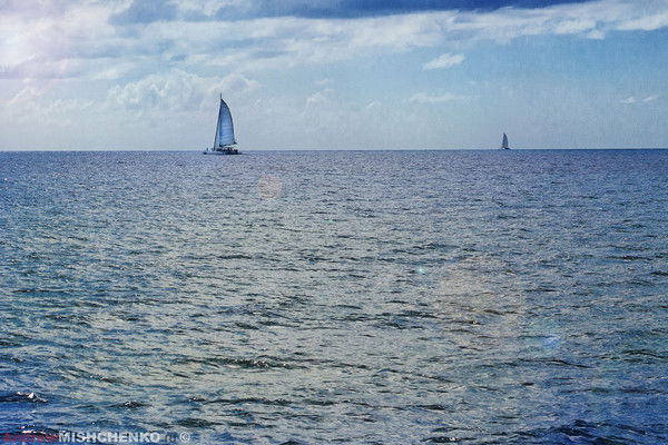 Евгений Лосев