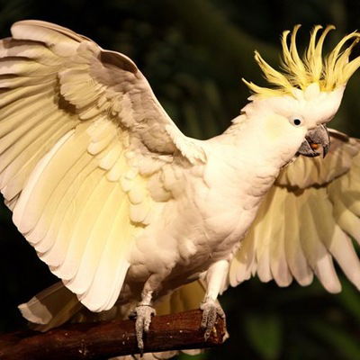 Виктория Чучунова