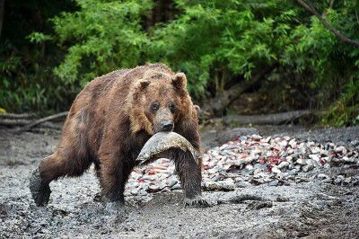 Артур Агавелян