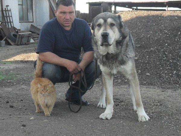 Сергей Гидич