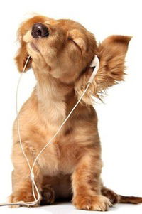 Вероника Голубева