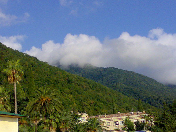 Вадим Самоненко