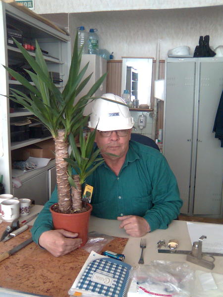 Владимир Лисицкий