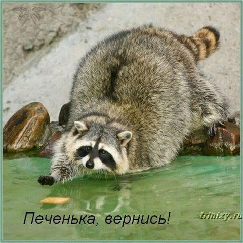 Надежда Перфилова