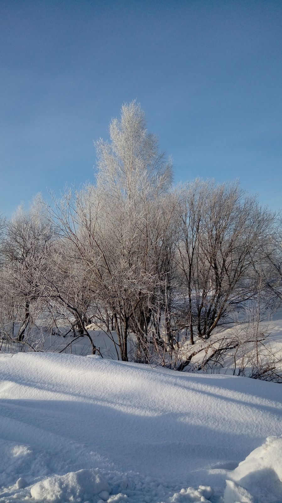 Нюська ````````````