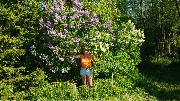 Марина Алексеева