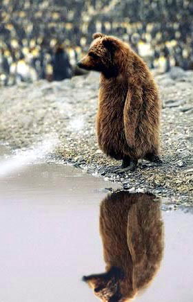 Анна Лазутина