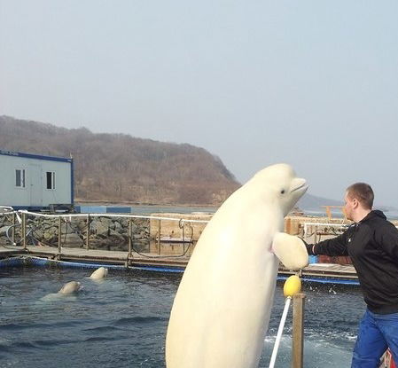 Антон Орлов