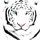 Артём Купреенко