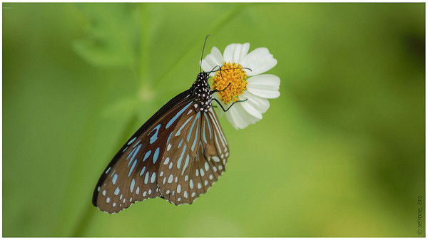 Наталья Морозова