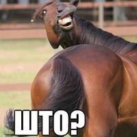 Майя Емельянова